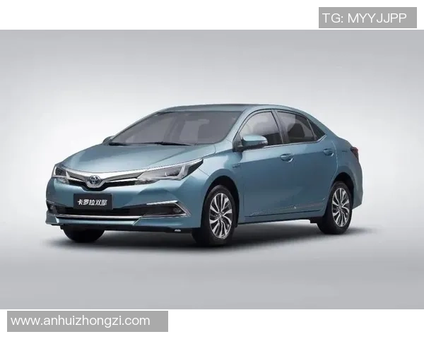 杭州羽毛球队在洲际杯积分榜中以82分稳居榜首展现强劲实力