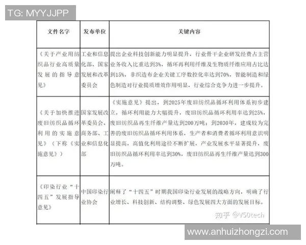 杭州羽毛球队实力大变革引热议新星崛起与未来展望