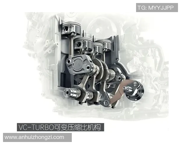 南京排球队技术对比深度解析与发展趋势展望