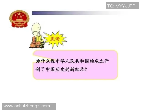 深圳排球队的辉煌征程与冠军赛背后的奋斗故事