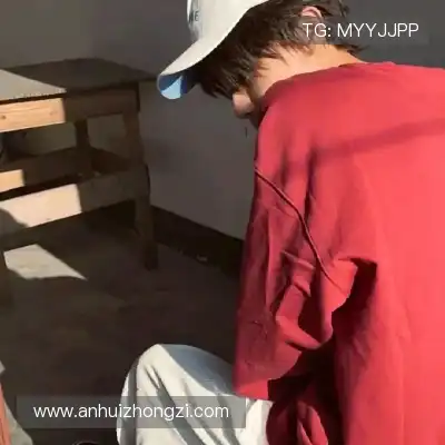 费仲季